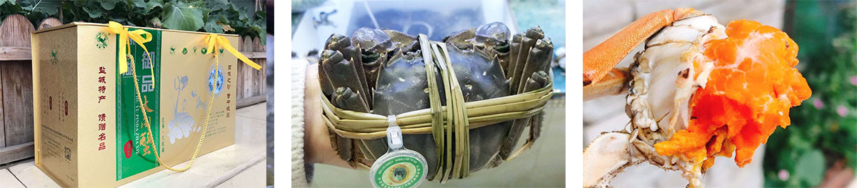 1599198455452909.jpg 公司環(huán)境圖.jpg